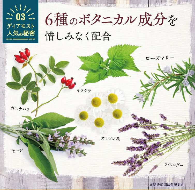 6種のボタニカル成分を惜しみなく配合