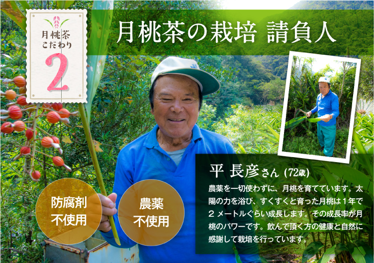 月桃茶の栽培請負人 平長彦さん