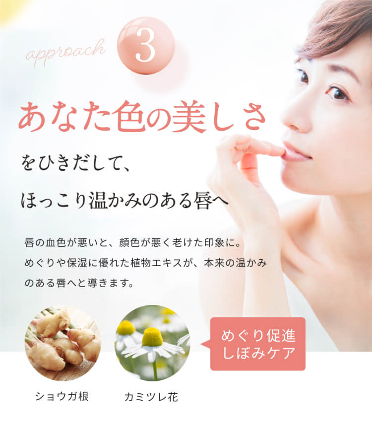 これ一本でハリ・ツヤ唇へ
