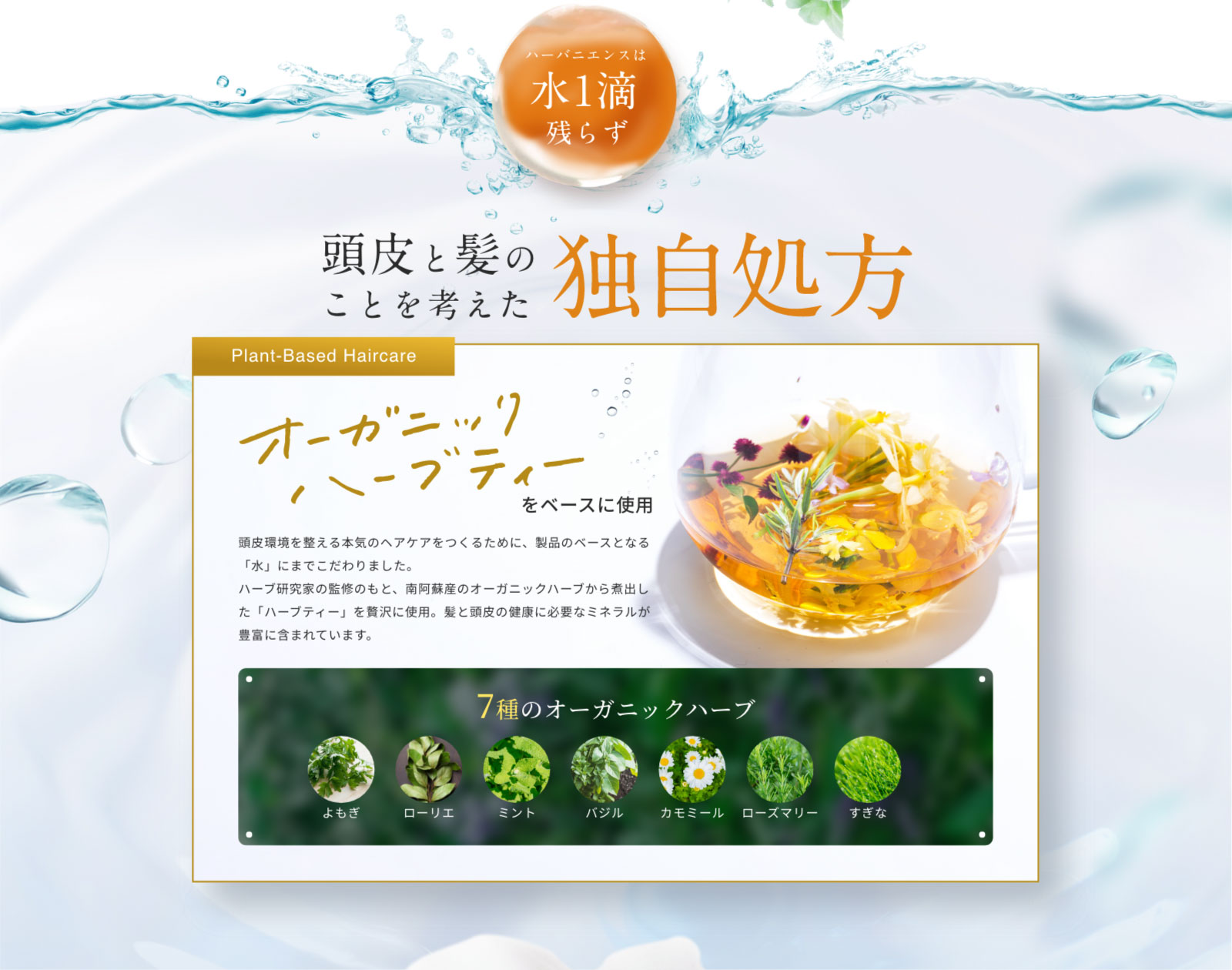 頭皮と髪のことを考えた独自処方