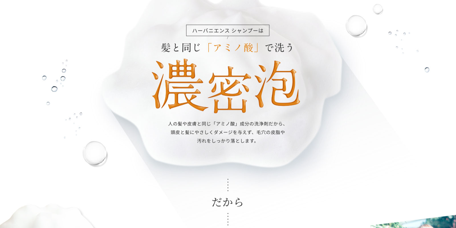 髪と同じアミノ酸で洗う濃密泡