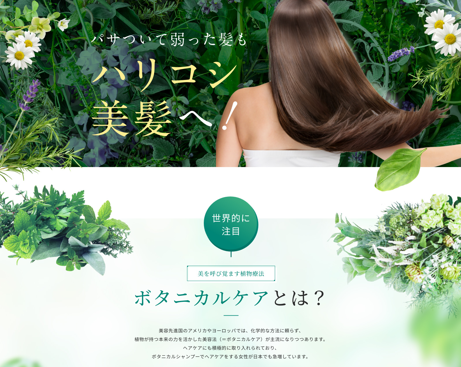 パサついて弱った髪もハリコシ美髪へ