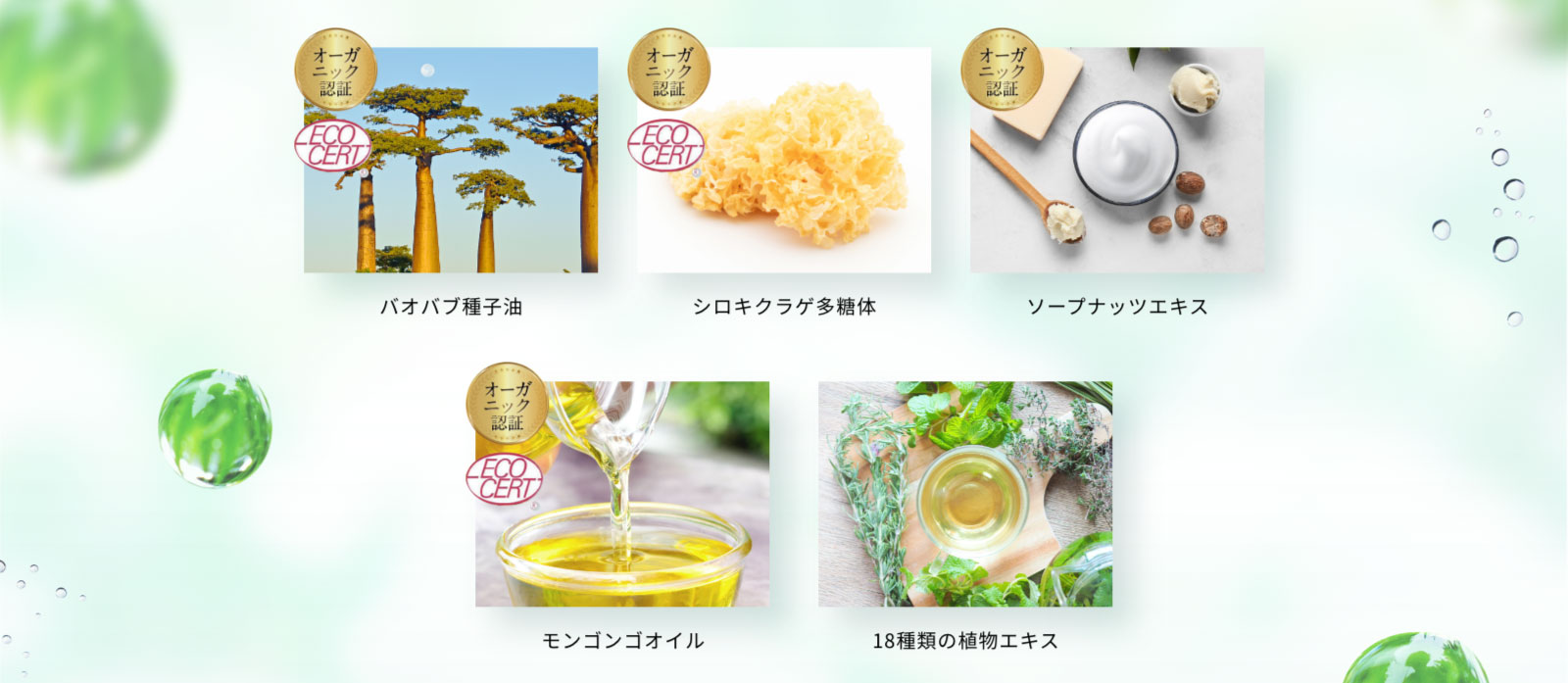オーガニック認証5つの素材