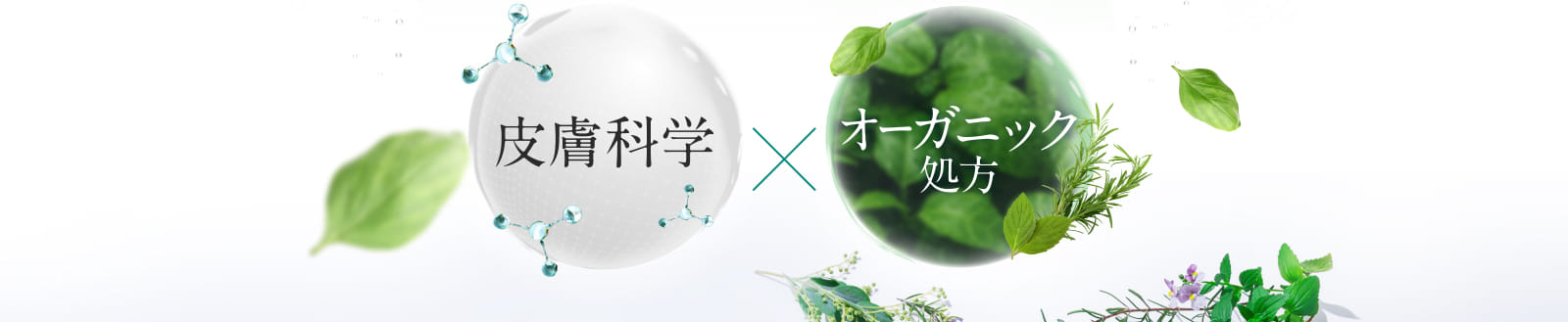 皮膚科学 オーガニック処方