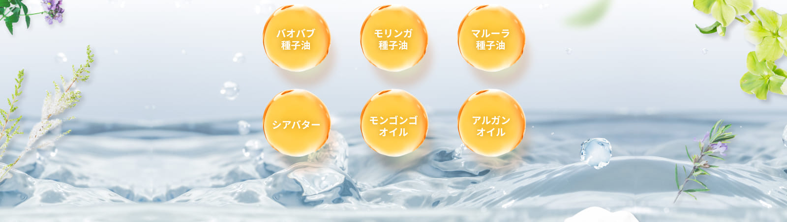 バオバブ種子油 など