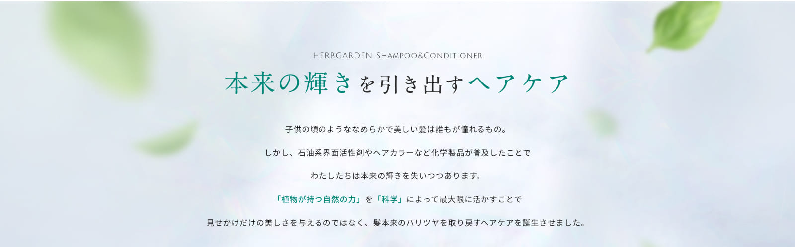 本来の輝きを引き出すヘアケア