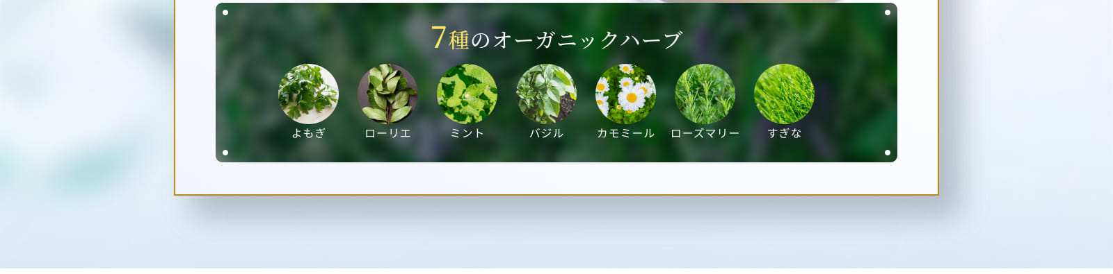 7種のオーガニックハーブ