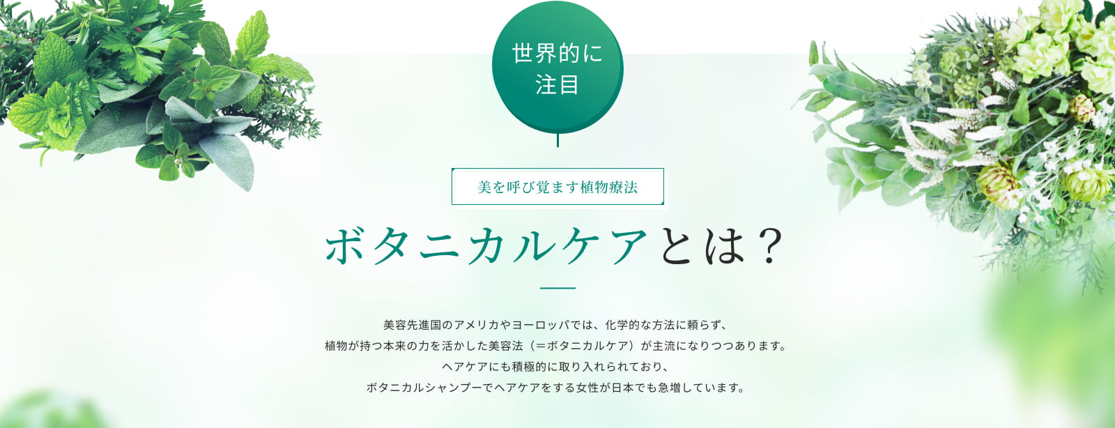 ボタニカルケアとは?