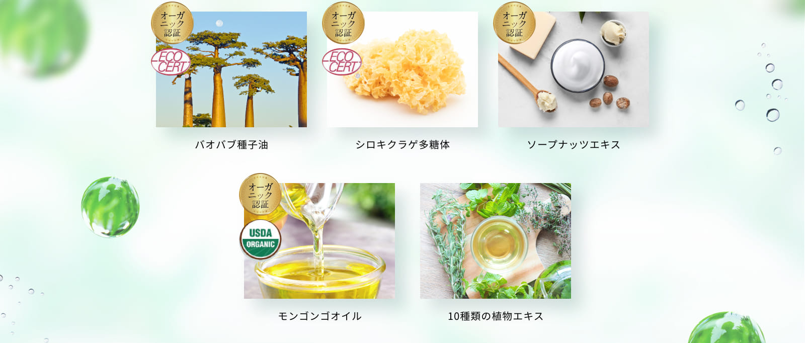 バオバブ種子油 など