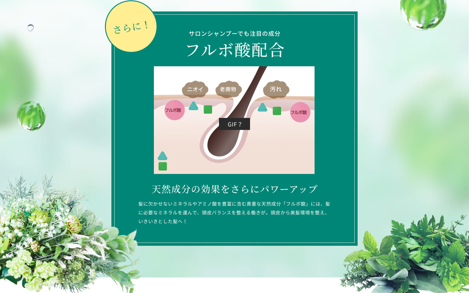 フルボ酸配合
