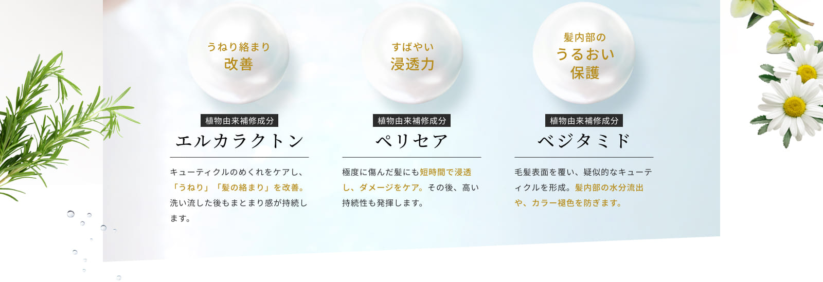 エルカラクトン ペリセア ベジタミド